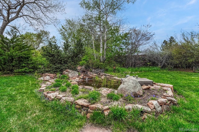 7100 S Hudson Cir, Centennial, CO 80122 - view of yard