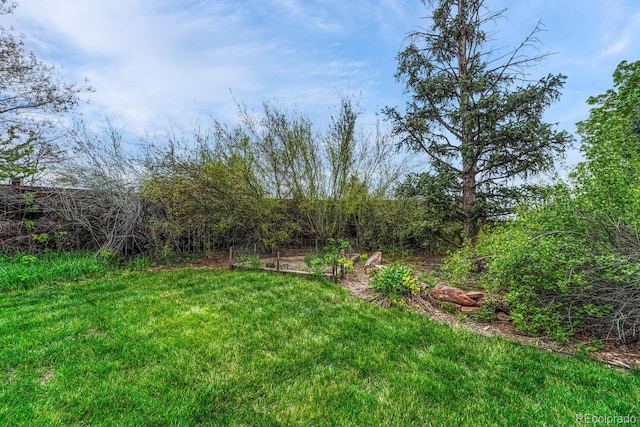 7100 S Hudson Cir, Centennial, CO 80122 - view of yard