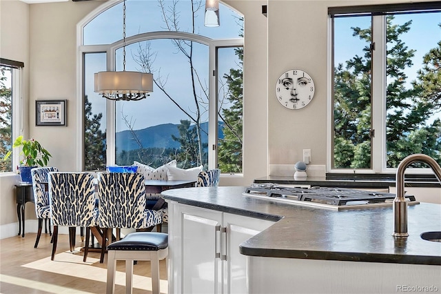 interior space featuring stainless steel gas stovetop, a mountain view, plenty of natural light, and wood finished floors