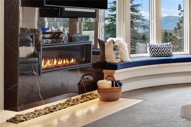 details featuring a glass covered fireplace and carpet