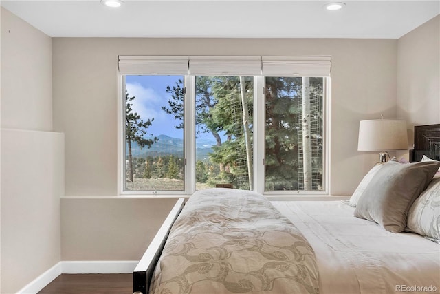 bedroom with baseboards, recessed lighting, and wood finished floors