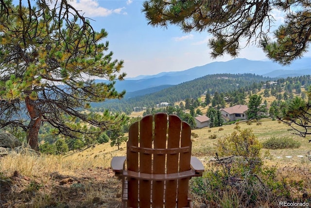 814 Neville Ln, Golden, CO 80401 - mountain view featuring a heavily wooded area