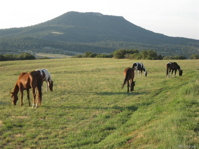 mountain view featuring a rural view