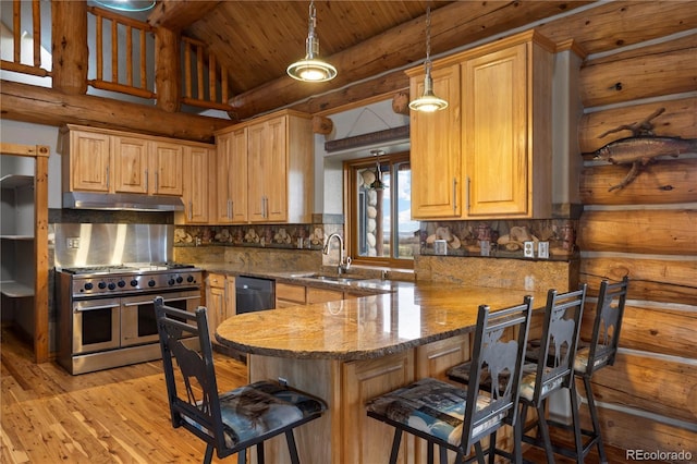 kitchen with a sink, stainless steel appliances, a kitchen breakfast bar, under cabinet range hood, and light wood-style flooring