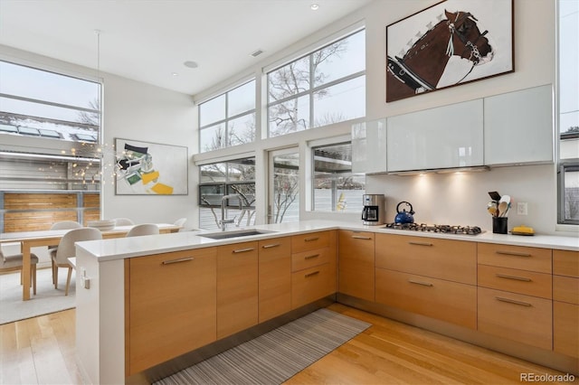 kitchen featuring gas cooktop, light wood-style flooring, a sink, a healthy amount of sunlight, and light countertops