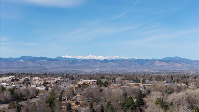 view of mountain feature