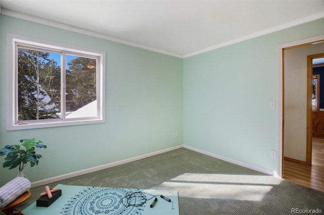 bedroom with ornamental molding and carpet floors