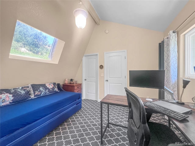 7085 Kiowa Rd, Larkspur, CO 80118 - office with carpet