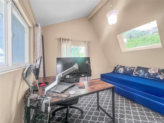 7085 Kiowa Rd, Larkspur, CO 80118 - office featuring lofted ceiling and a skylight