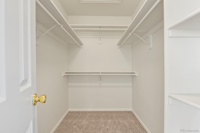 3244 Capstan Way, Colorado Springs, CO 80906 - walk in closet featuring carpet