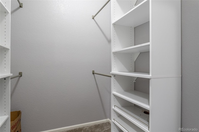 4451 S Ammons St Unit 2-204, Littleton, CO 80123 - walk in closet with carpet flooring