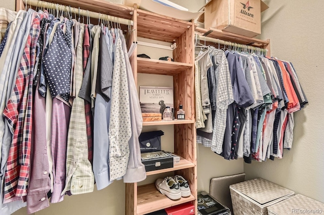 9381 Ashbury Cir Unit 105, Parker, CO 80134 - view of walk in closet