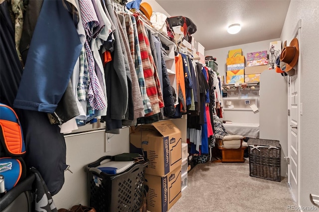 2200 Cadman St, Berthoud, CO 80513 - spacious closet with carpet