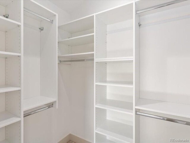 view of spacious closet