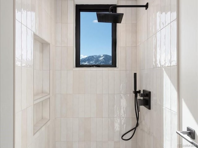 room details with tiled shower