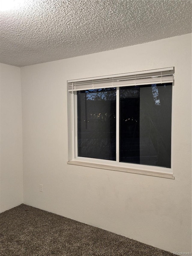 empty room with carpet flooring and a textured ceiling