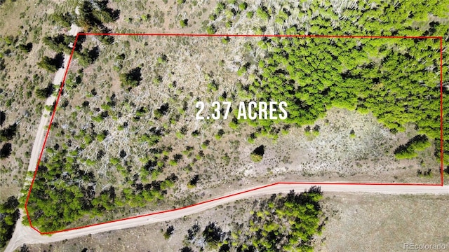 63 Pine Ridge Rd, Fairplay, CO 80440