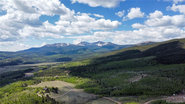 63 Pine Ridge Rd, Fairplay, CO 80440