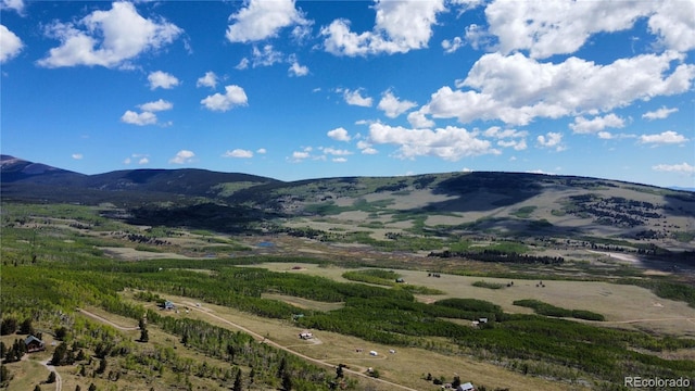 63 Pine Ridge Rd, Fairplay, CO 80440