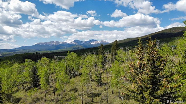 63 Pine Ridge Rd, Fairplay, CO 80440