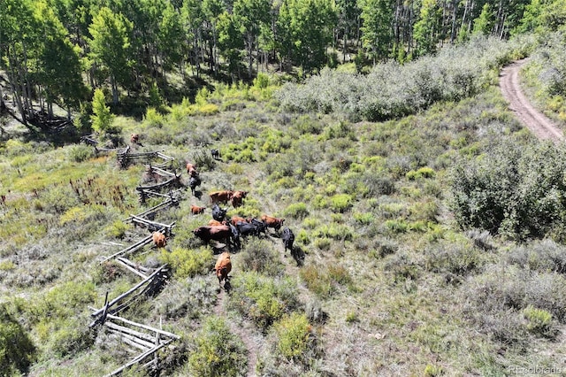 000 Divide Rd, Whitewater, CO 81527 - photo 2