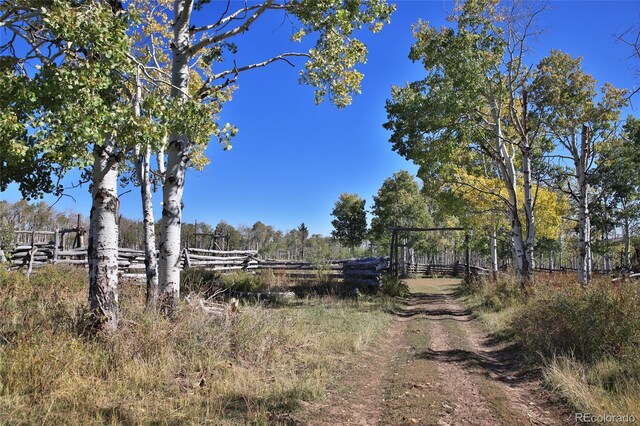 000 Divide Rd, Whitewater, CO 81527 - photo 4