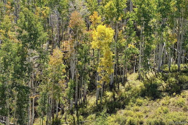 000 Divide Rd, Whitewater, CO 81527 - photo 11