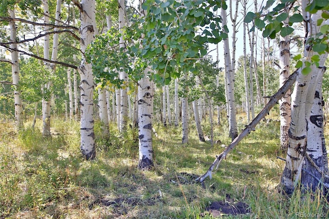 000 Divide Rd, Whitewater, CO 81527 - photo 23