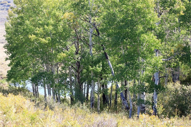 000 Divide Rd, Whitewater, CO 81527 - photo 25