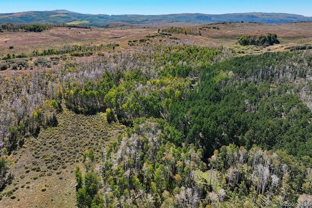 000 Divide Rd, Whitewater, CO 81527 - photo 28