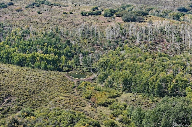 000 Divide Rd, Whitewater, CO 81527 - photo 31