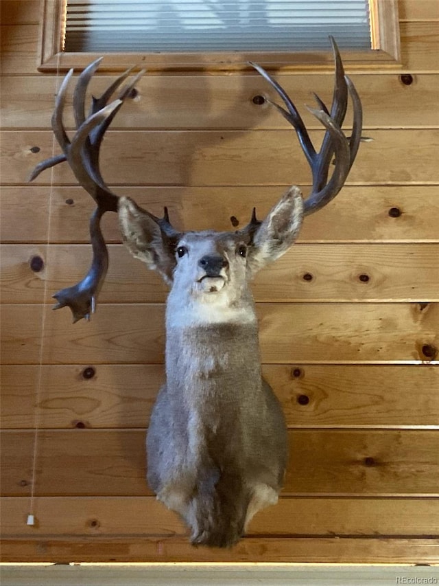 000 Divide Rd, Whitewater, CO 81527 - photo 33