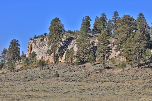 000 Divide Rd, Whitewater, CO 81527 - photo 34