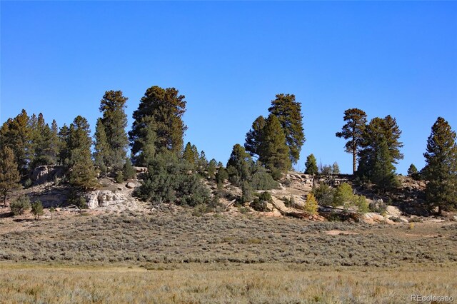 000 Divide Rd, Whitewater, CO 81527 - photo 37