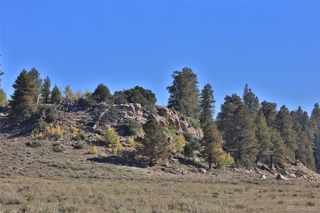000 Divide Rd, Whitewater, CO 81527 - photo 39