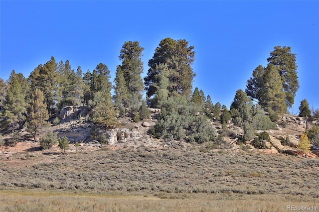 000 Divide Rd, Whitewater, CO 81527 - photo 40