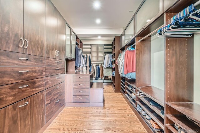 spacious closet featuring light wood-style floors