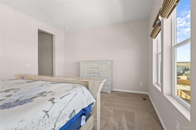 17101 Hop Clover Ave, Parker, CO 80134 - photo 17