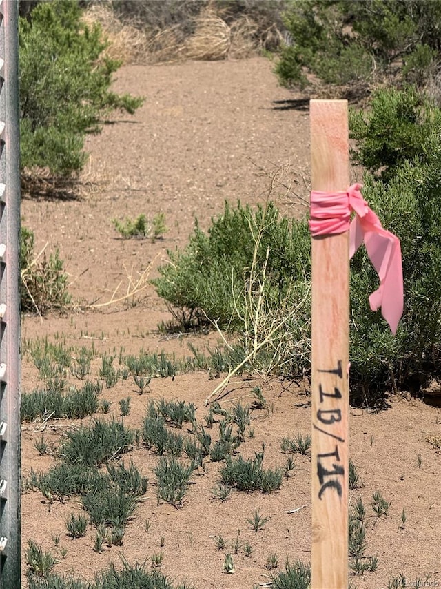 1A N 2nd Ln, Mosca, CO 81146