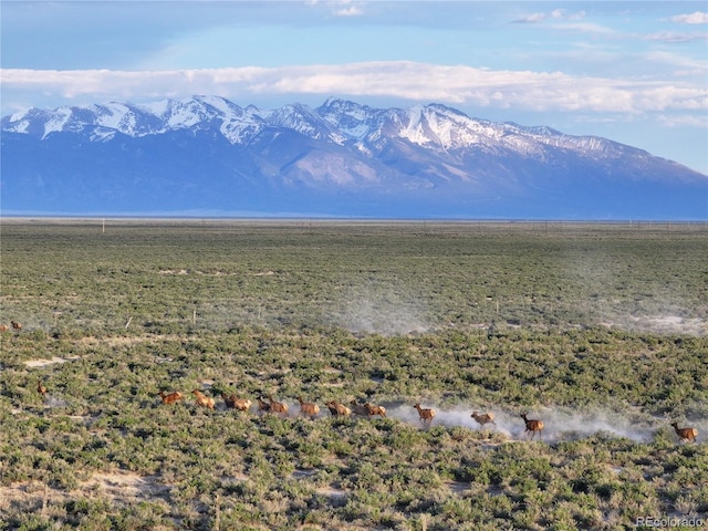 1A N 2nd Ln, Mosca, CO 81146