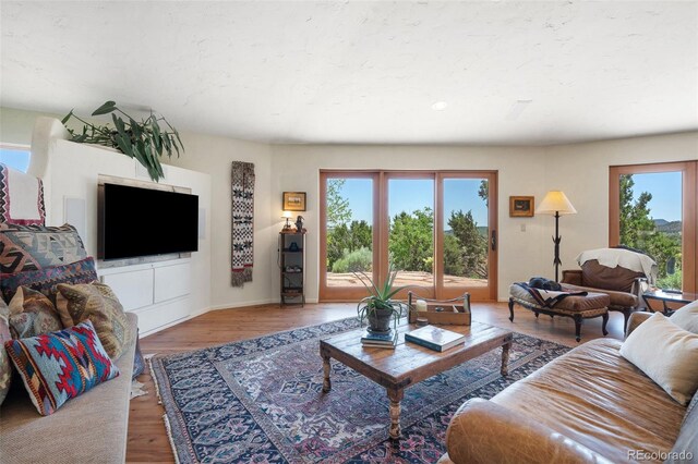 3525 Turkey Canon Ranch Rd, Colorado Springs, CO 80926 - photo 16