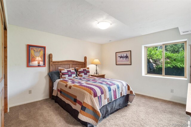 3525 Turkey Canon Ranch Rd, Colorado Springs, CO 80926 - photo 34