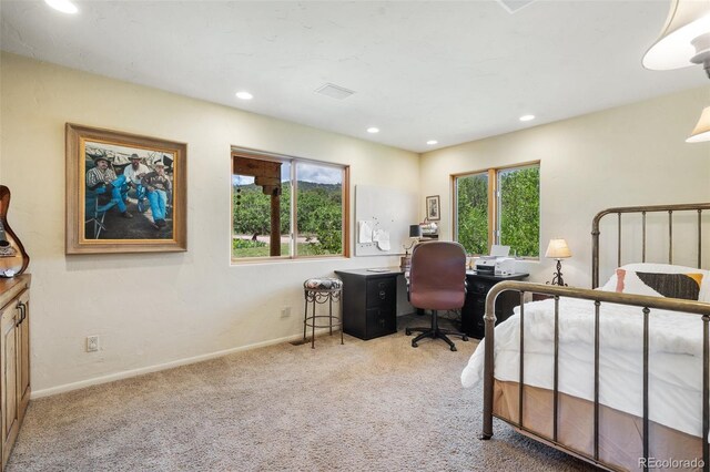 3525 Turkey Canon Ranch Rd, Colorado Springs, CO 80926 - photo 36