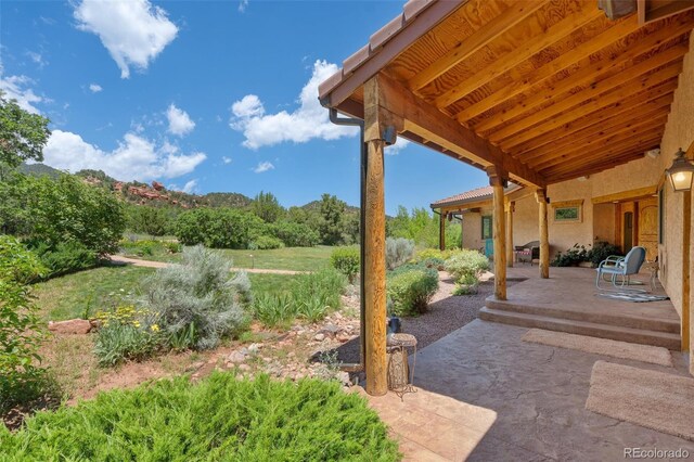 3525 Turkey Canon Ranch Rd, Colorado Springs, CO 80926 - photo 48