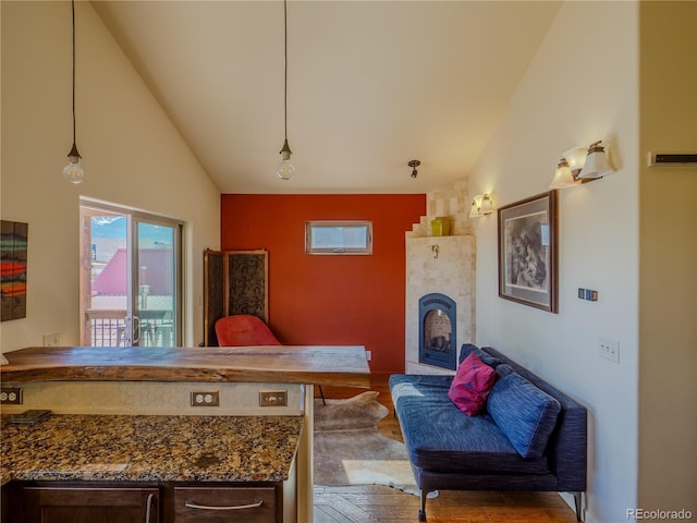living area featuring high vaulted ceiling, wood finished floors, and a fireplace