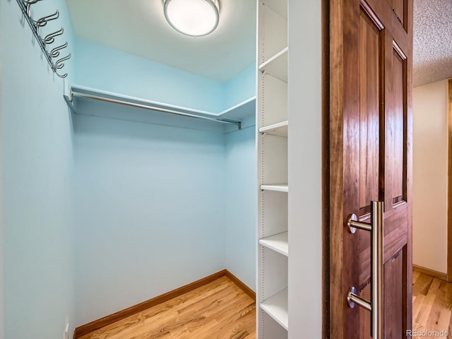 spacious closet featuring light wood-style floors