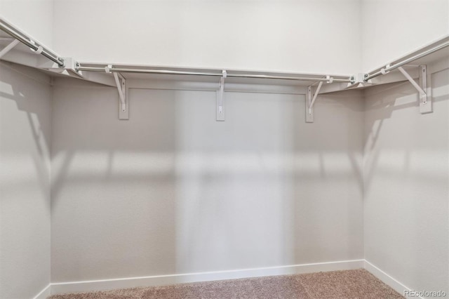 spacious closet with carpet floors