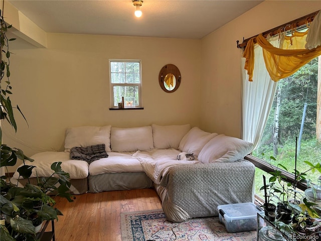 living room featuring hardwood / wood-style floors