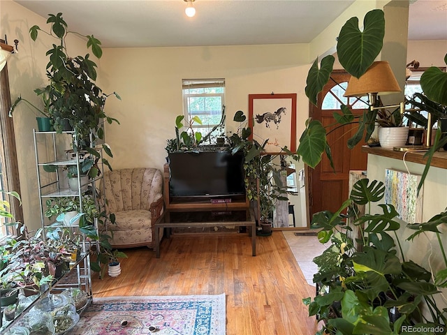 sitting room featuring wood-type flooring