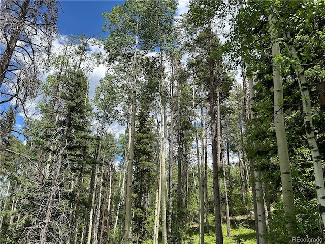 view of landscape